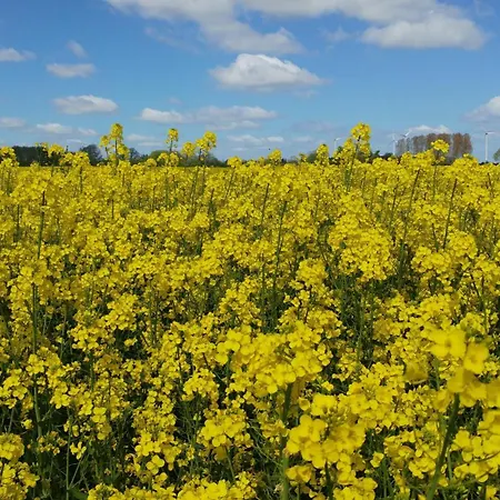 Kleine Auszeit Nr 4 * Maasholm